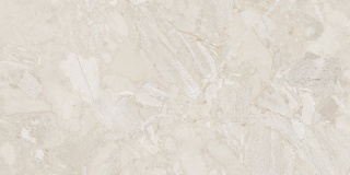 AARCHIK MUD 60X120 POLISHED G.1