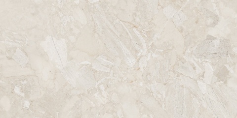 AARCHIK MUD 60X120 POLISHED G.1