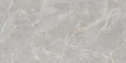 OLIVIA GREY 60X120 POLISHED G.1