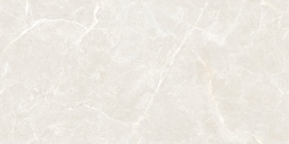 OLIVIA SILVER 60X120 POLISHED G.1