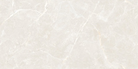 OLIVIA SILVER 60X120 POLISHED G.1