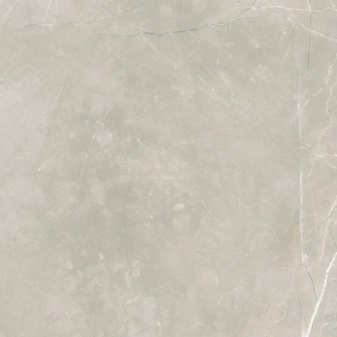 RITTRIM LIGHT GREY MAT 59,8X59,8 G.2
