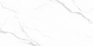 EMIGRES CARRARA BLANCO LAPPATO 60X120 G.1