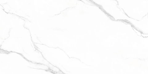 EMIGRES CARRARA BLANCO LAPPATO 60X120 G.1