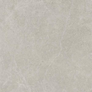 PARADYŻ U118 LIGHT GREY GRES SZKL. REKT. MAT. 59,8X59,8 G.1
