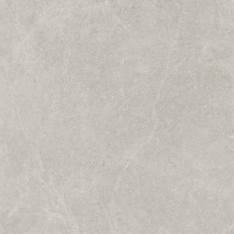 PARADYŻ U118 LIGHT GREY GRES SZKL. REKT. POLPOLER 59,8X59,8 G.1 PARADYŻ U118 LIGHT GREY GRES SZKL. REKT. POLPOLER 59,8X59,8 G.1