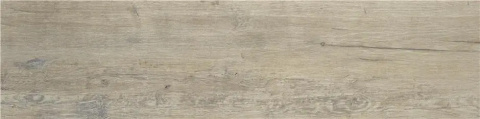 ALAPLANA SHIREEN BONE MATE 23X120 RECT. G.1 ALAPLANA SHIREEN BONE MATE 23X120 RECT. G.1