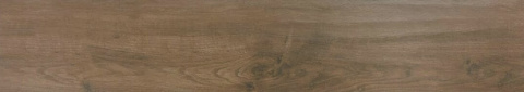BOSQUE BROWN RETT. 20X120 GRES G.1