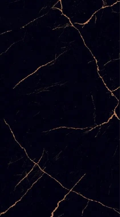 COIN BLACK POLER GRES 60X120 G.1 COIN BLACK POLER GRES 60X120 G.1
