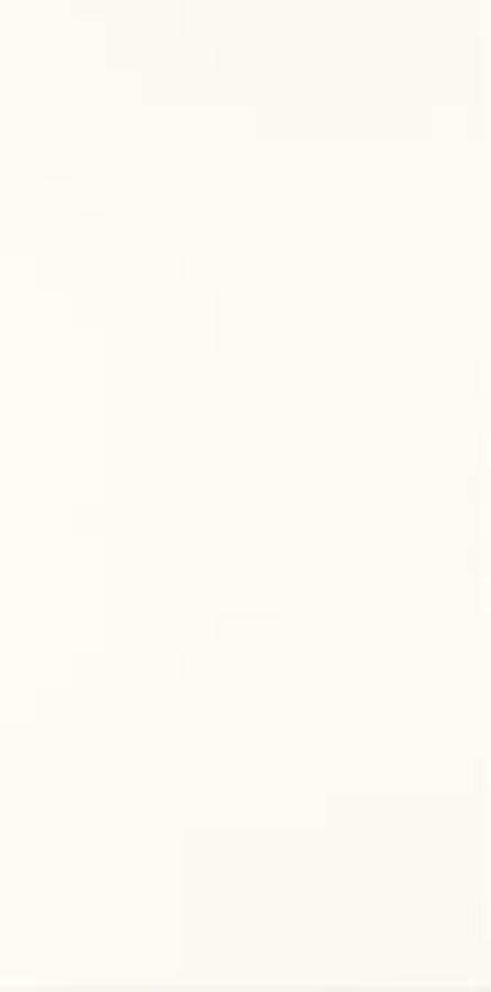 FIORI BIANCO SCIANA 30X60 G.1 FIORI BIANCO SCIANA 30X60 G.1