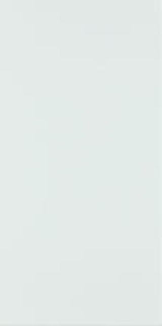 FIORI BLUE SCIANA 30X60 G.1