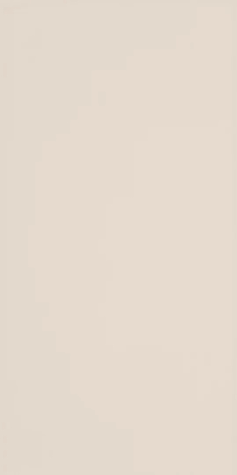 SYNERGY BEIGE SCIANA 30X60 G.1 SYNERGY BEIGE SCIANA 30X60 G.1