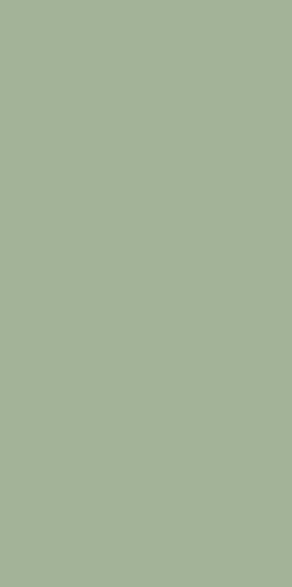 FEELINGS GREEN SCIANA REKT. 29,8X59,8 G.1