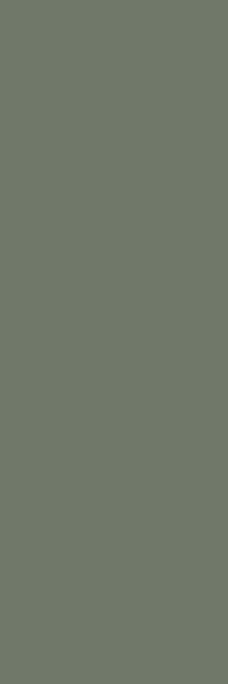NIGHTWISH GREEN SCIANA REKT. 25X75 G.1