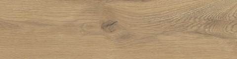 STARGRES TAIGA / SIGURD WOOD HONEY 15,5x62 G.1 STARGRES TAIGA / SIGURD WOOD HONEY 15,5x62 G.1