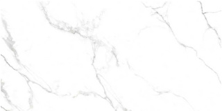 NUEVO NEO OSLO CARRARA SATIN GRES 60x120 8 G.1